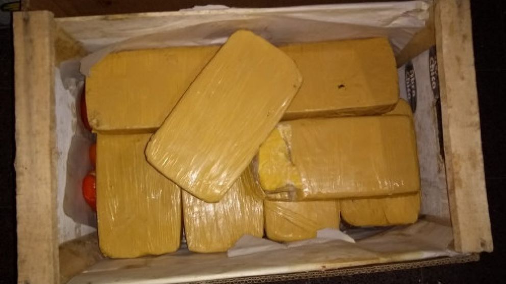 En los cajones de tomates estaba la sorpresa.