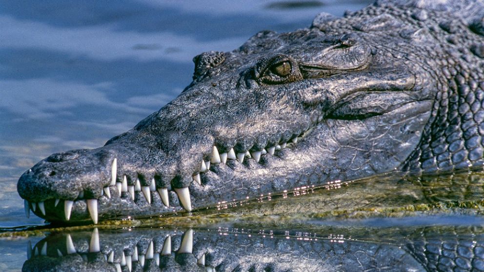 Vecinos enardecidos se tomaron revancha de la matanza de un hombre.