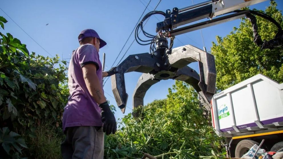 Nuevo operativo de recolecci�n de residuos voluminosos: d�nde y c�mo contactarse para que los retiren