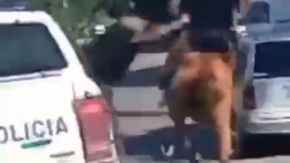 Terror a caballo en Bernal: menores armados huyeron y la policía los tiró al piso