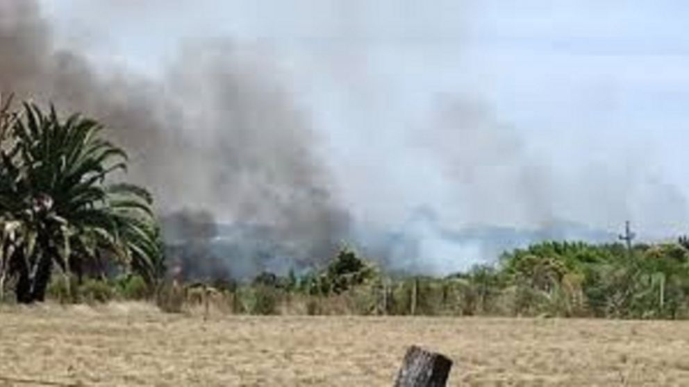Incendio en el Campo del Alemán generó alarma en Quilmes Oeste