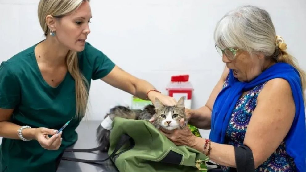 Atención gratuita y tenencia responsable en Quilmes: así se trabaja en la Veterinaria Municipal