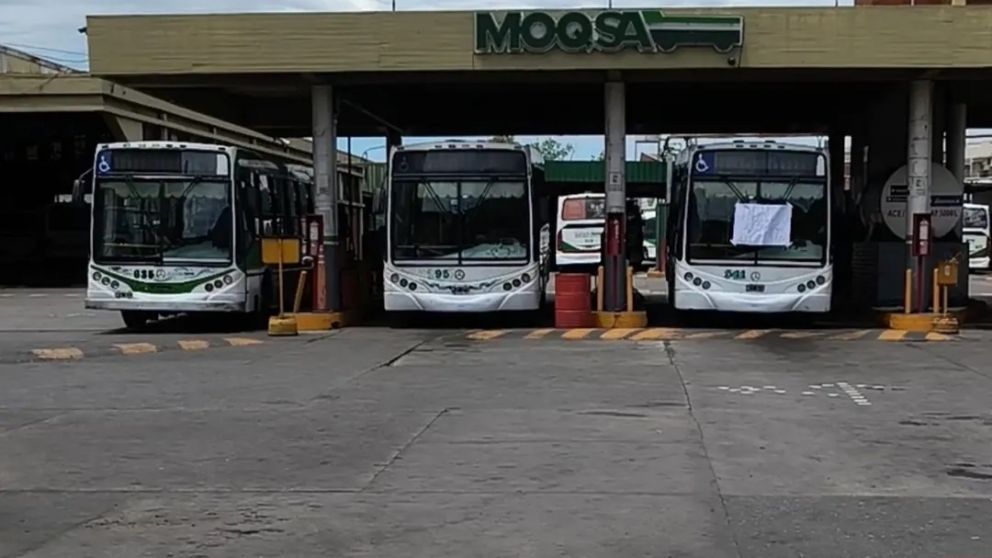Paro en MOQSA: comienza a normalizarse el servicio