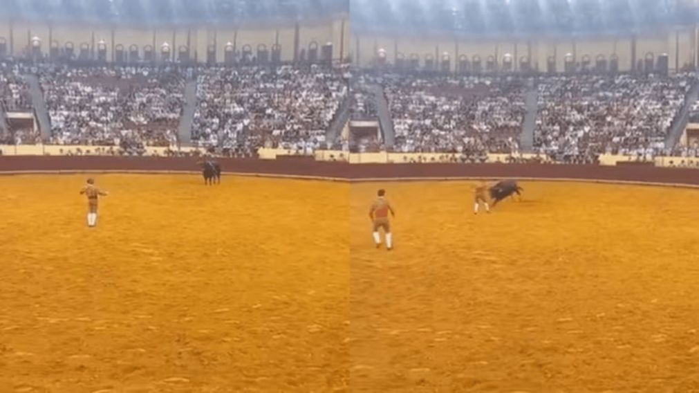 Un joven torero murió tras ser corneado por un toro en su debut (Imagen redes sociales).
