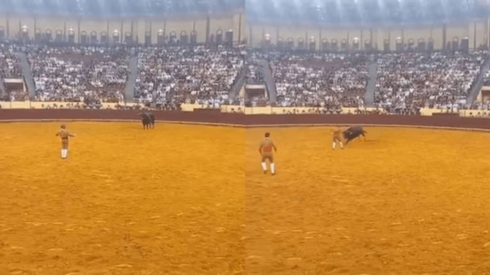 Un joven torero muri� tras ser corneado por un toro en su debut (Imagen redes sociales).
