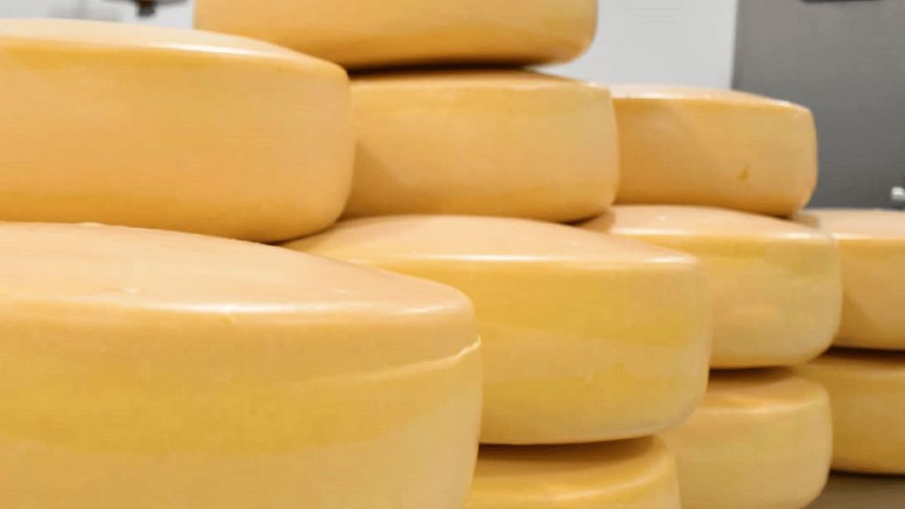 La tradicional celebración convoca a visitantes de toda la provincia para disfrutar de sabores típicos y actividades culturales.