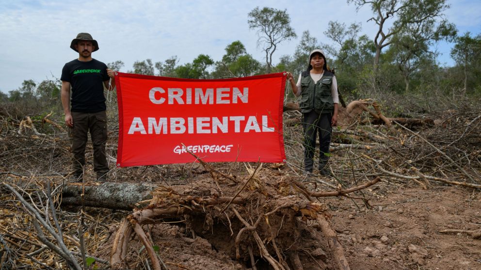 Greenpeace documentó desmontes ilegales en Chaco: 170 mil hectáreas deforestadas desde que la justicia suspendió los desmontes en noviembre de 2020.