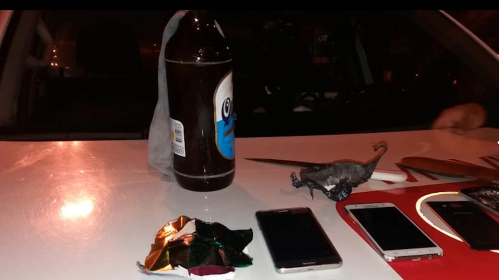 Los elementos secuestrados. 