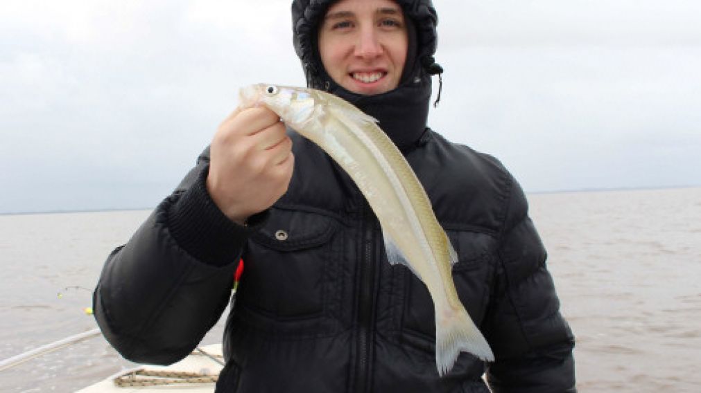 El pescador encontrará ejemplares de este tamaño.