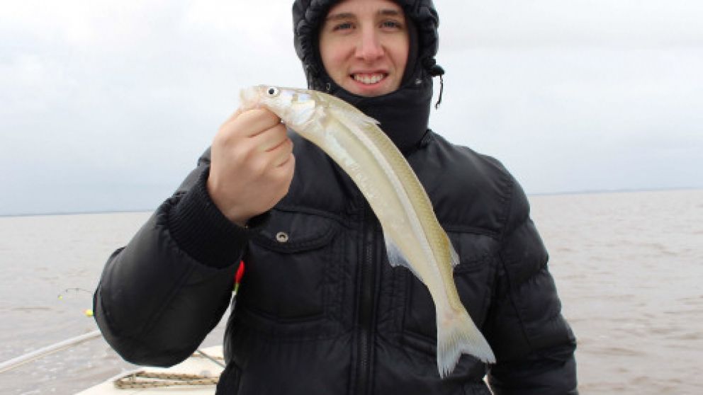 El pescador encontrará ejemplares de este tamaño.