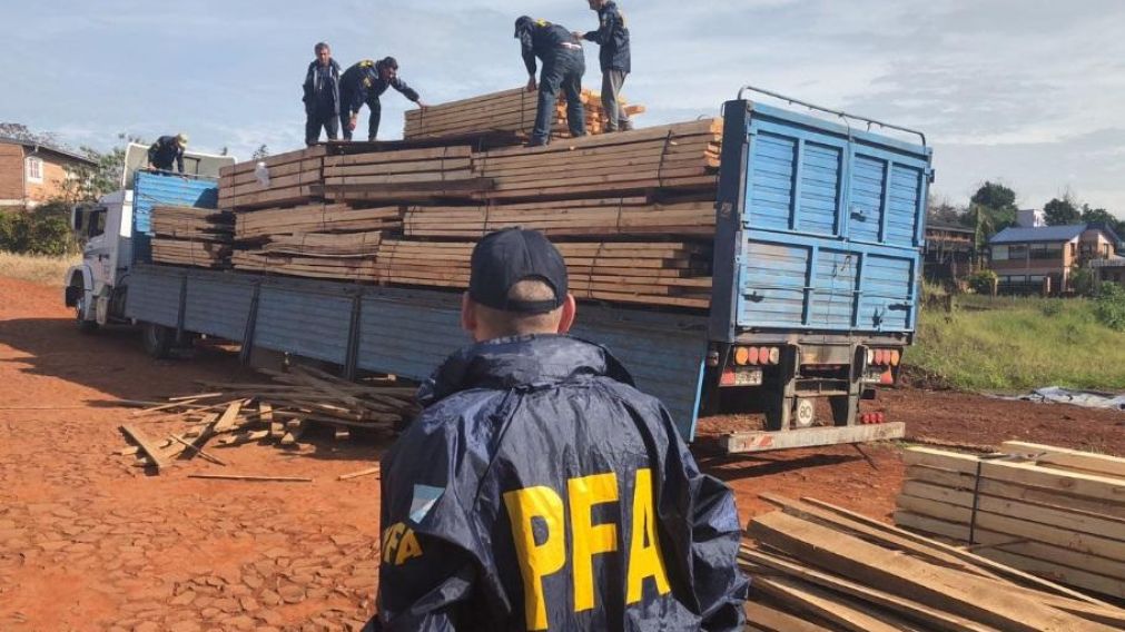 Descubren 2 toneladas de marihuana en vigas de madera