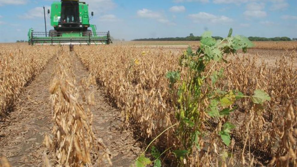 Agricultura retrocedió un 30% interanual debido a la sequía.