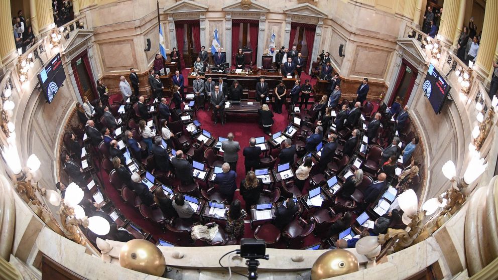 El Senado haría caer el veto a la Ley de Emergencia en Discapacidad.
