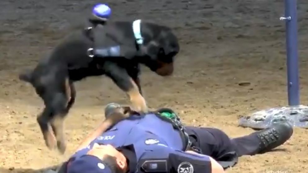 "Resucitó" a su compañero.