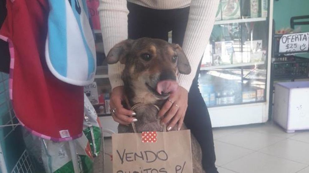 Norberto quiere darle pelea a su enfermedad.