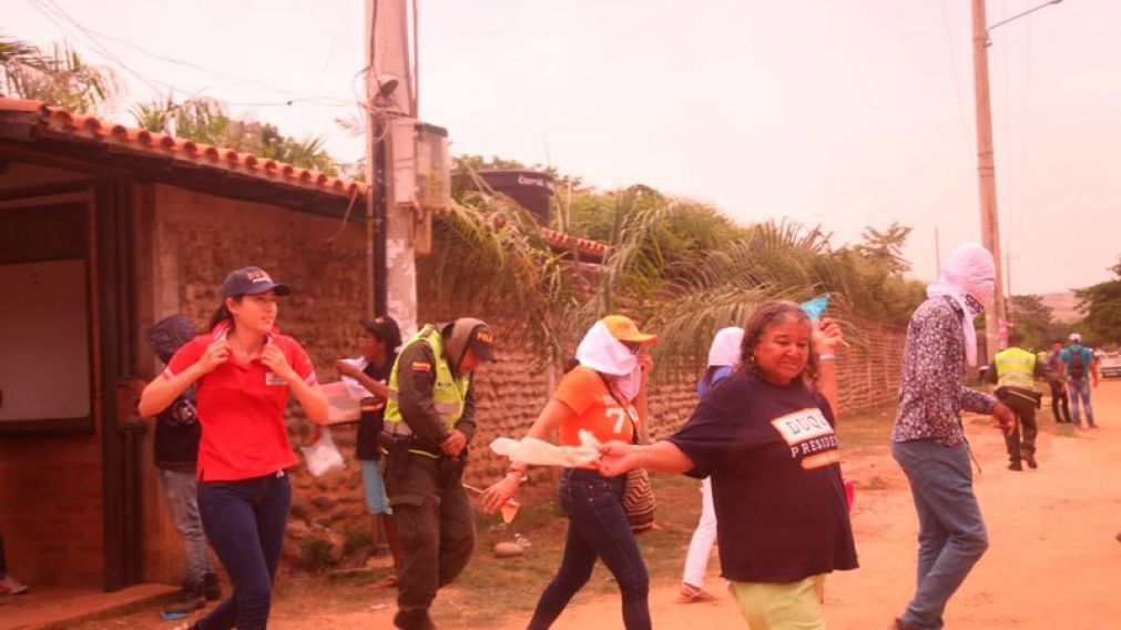 Abejas africanas atacaron a 70 personas durante acto político