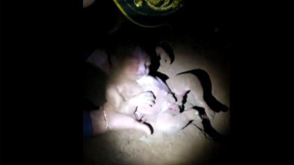 La pequeña tras ser rescatada. (Captura de video).