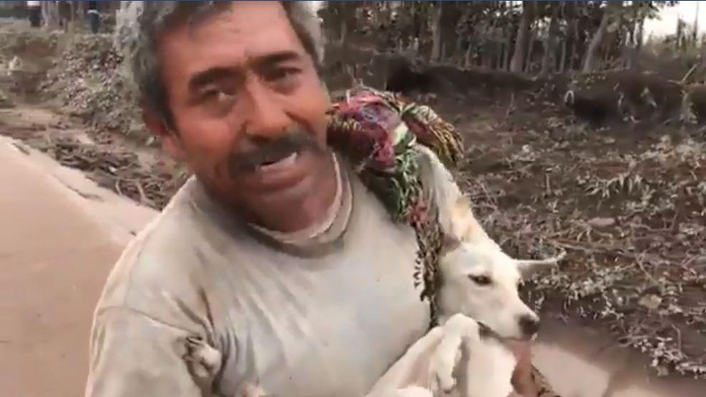 El momento en que el hombre rescató a su perrita. (Captura)