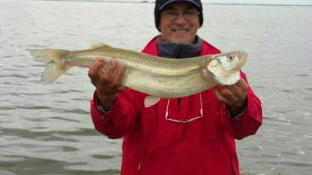 Una pieza lograda en Cuero de Zorro.