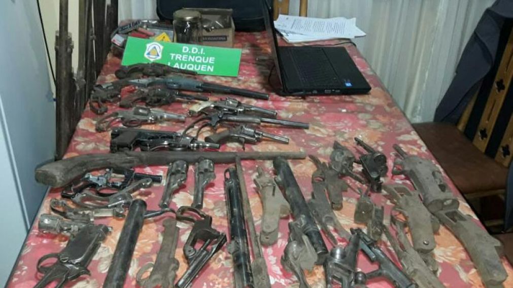 Las armas de fuego, de pu�o y largas, que ten�a el abuelo en su domicilio.