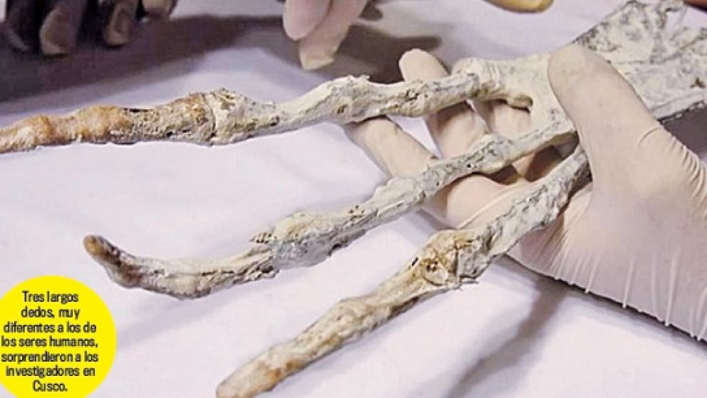 ¿Hallaron restos de un alienígena en Cusco?