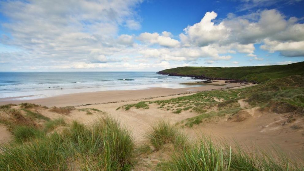 Científicos discuten la aparición de un "animal marino sin indentificación" en las playas de Gales.