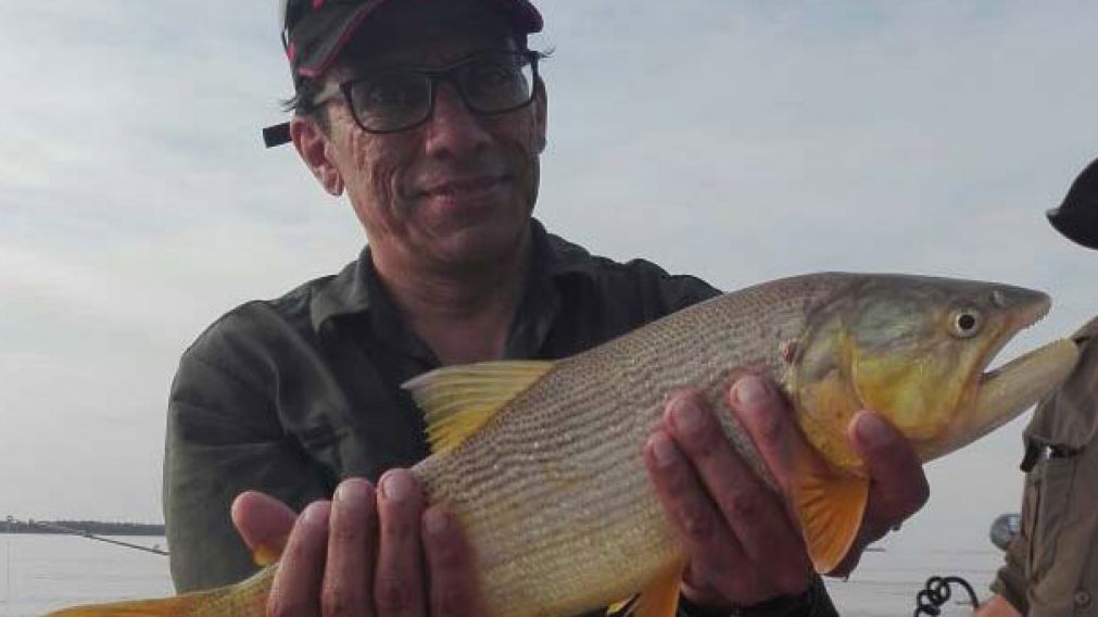 Los dorados estuvieron a la orden del día.