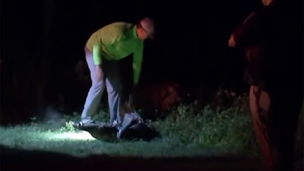 El momento de la captura del reptil.