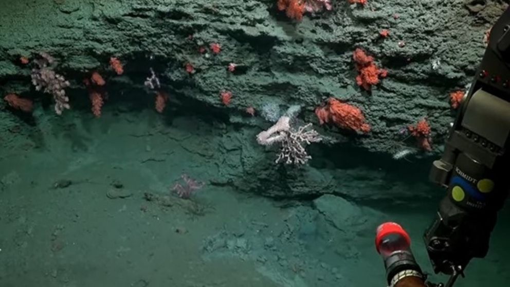 Un equipo de 37 cient�ficos emprender� entre hoy y el 20 de septiembre la expedici�n titulada '"Uruguay Sub200".