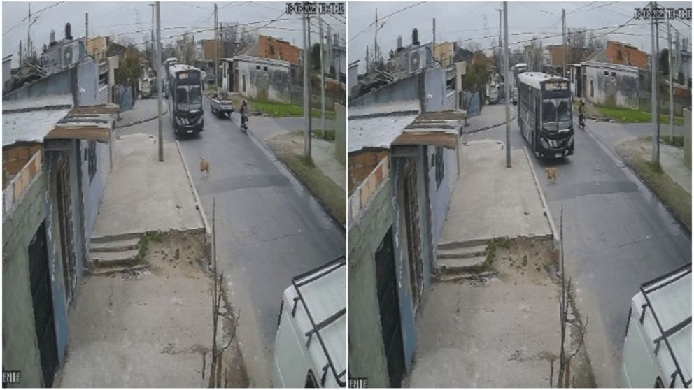Una cámara de seguridad registró el momento del atropello fatal.
