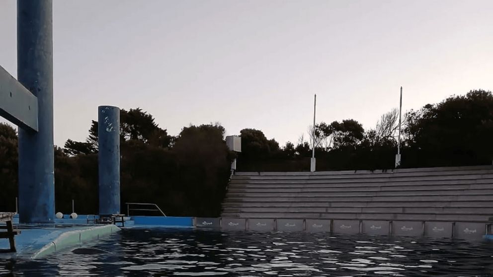 Denuncian al ex Aquarium Mar del Plata por maltrato animal.