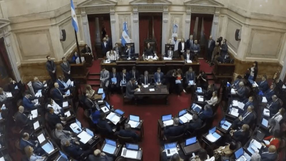 La oposición buscará convertir en ley los proyectos para aumentar fondos de universidades y el Garrahan.