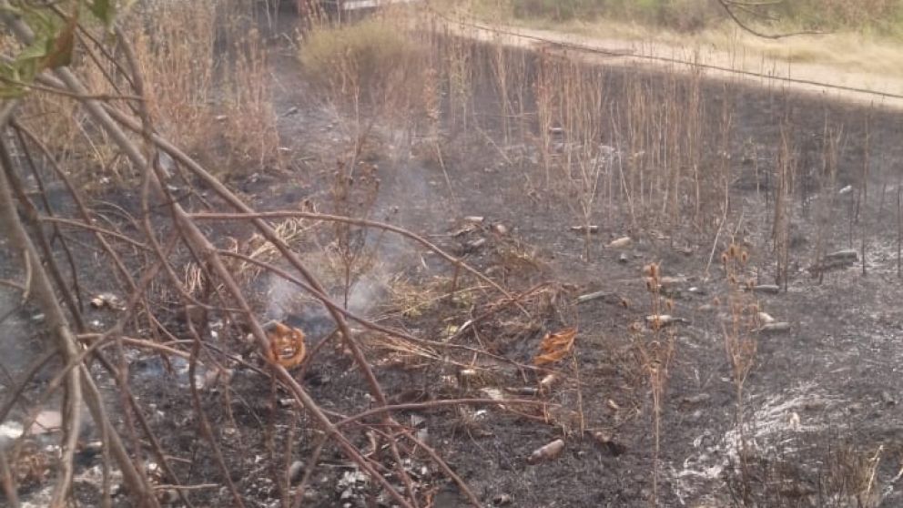 Voraz incendio en la reserva ecológica del Parque Industrial de Bernal Oeste