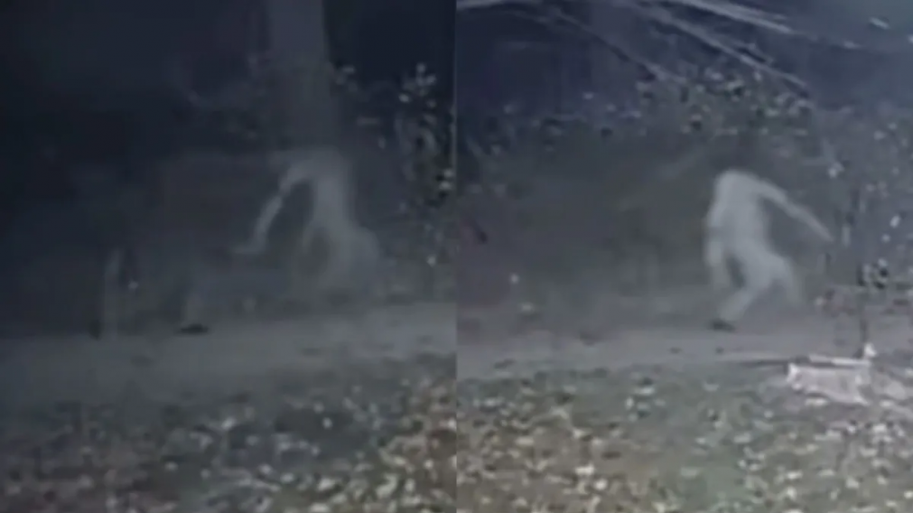 Imágenes escalofriantes: cámara de seguridad filmó al aterrador fantasma sin cabeza merodeando en el patio de una casa