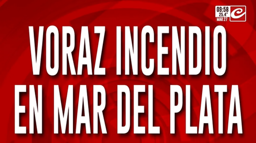 Destrucción total: voraz incendio consumió por completo una concesionaria de autos