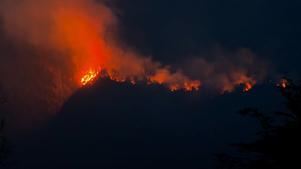 Se incendia el Parque Nacional Los Alerces. (Foto: Ministerio de Defensa)