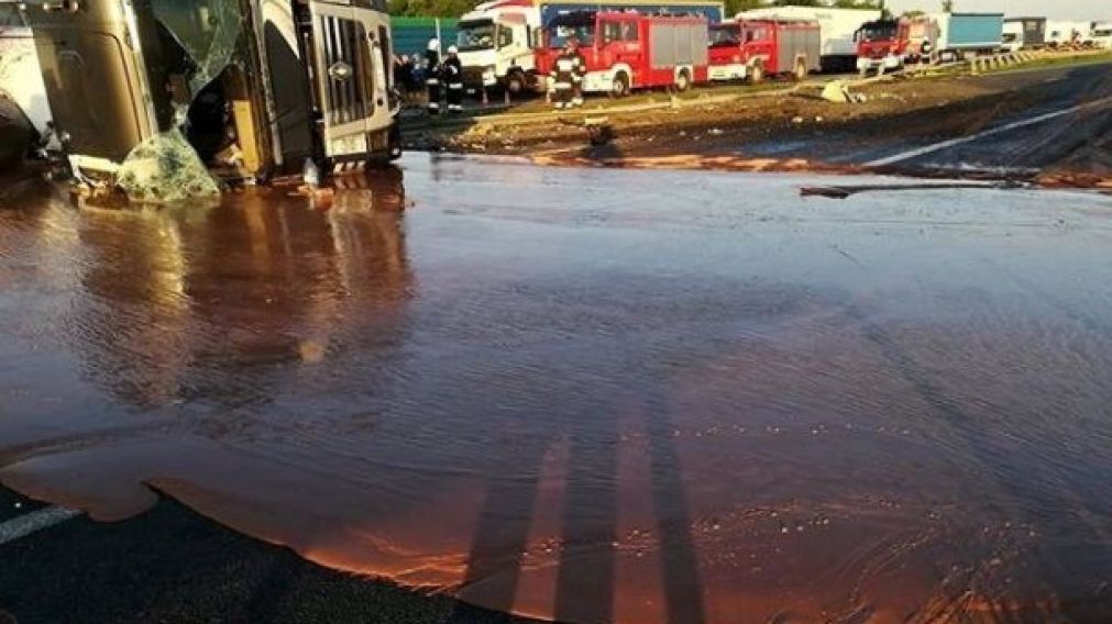 El camionero resultó con heridas leves...pero la carga se perdió en su totalidad.