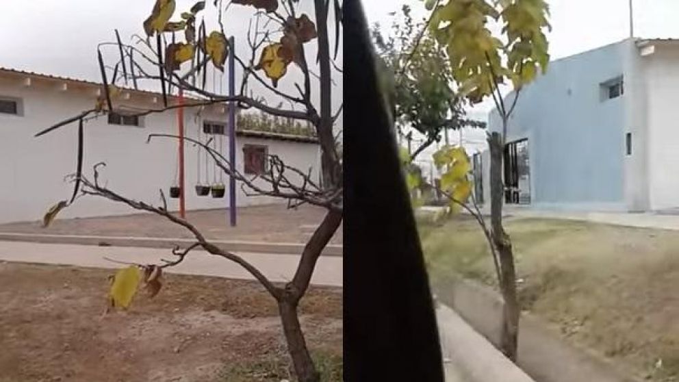 Pánico por "nenes fantasmas" que juegan en una plaza