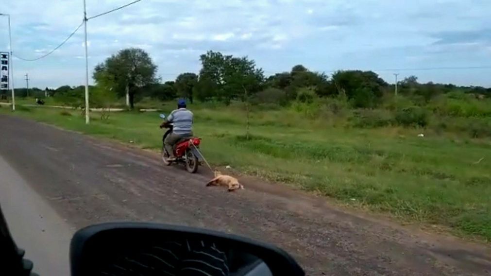 El hombre arrastra a su perro sin ninguna compasión.
