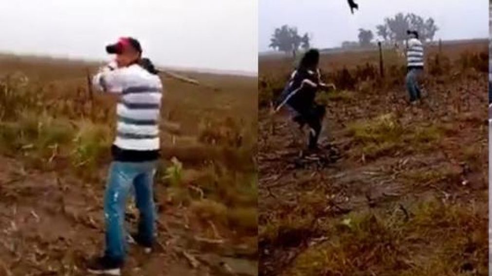 "Asesinos de perros" se filmaron torturando a un cachorro