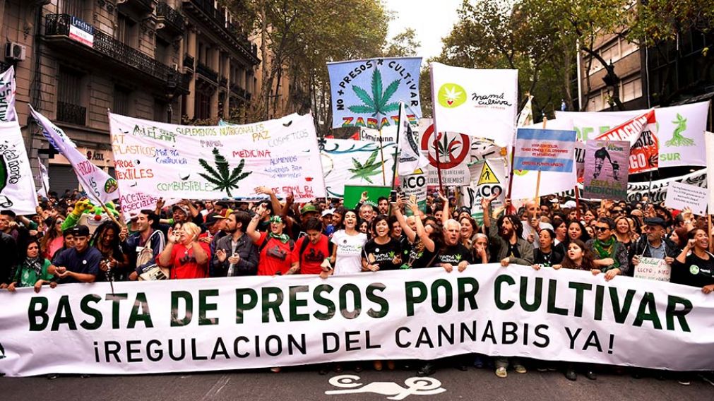 "Basta de presos por cultivar". Una de las premisas de la marcha. (T�lam)