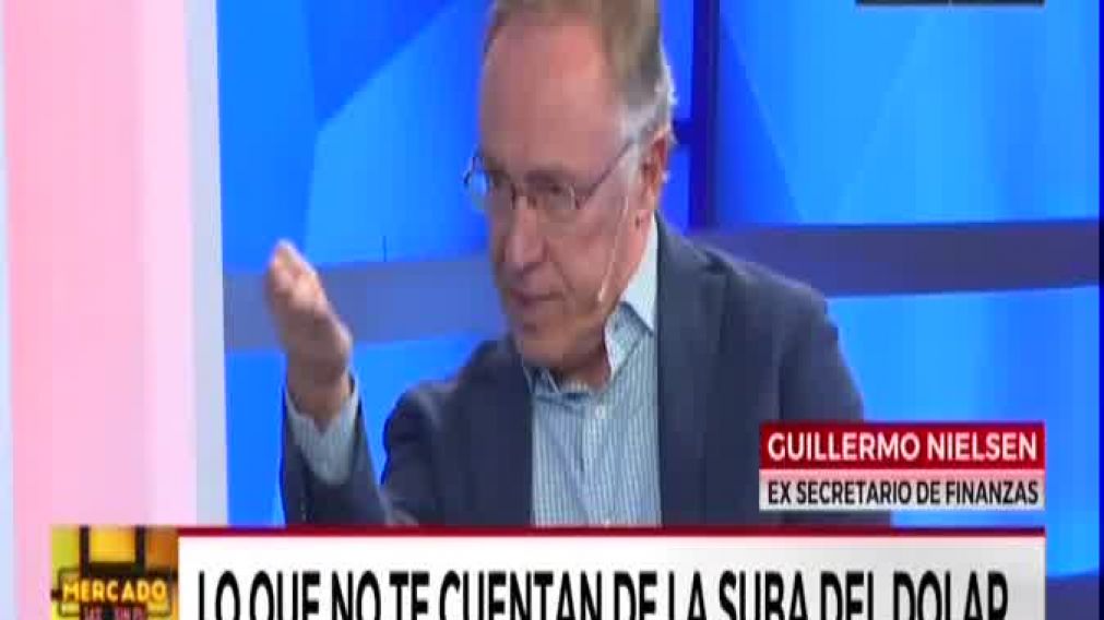 Nielsen: "El gobierno transita una de sus horas más difíciles"