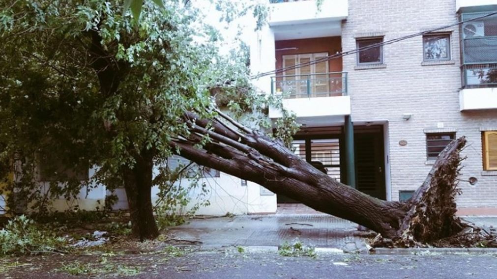 En La Plata hubo inundaciones, ca�da de �rboles y voladuras de techo. (Imagen de archivo)