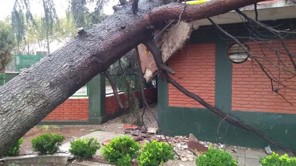 Así quedó el Club Arquitectura en Agronomía.