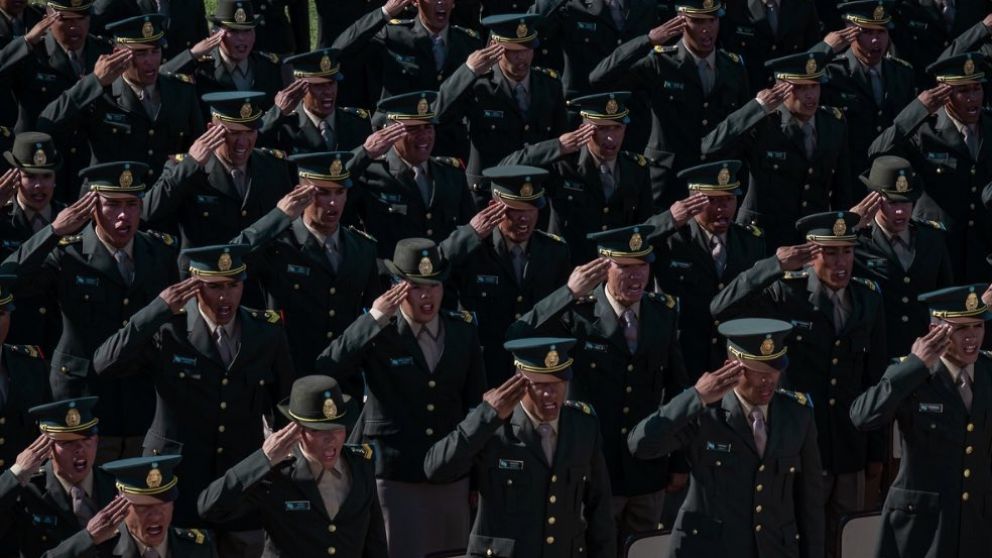 Personal de carrera de las Fuerzas Armadas podr� desempe�arse en cargos p�blicos no electivos.