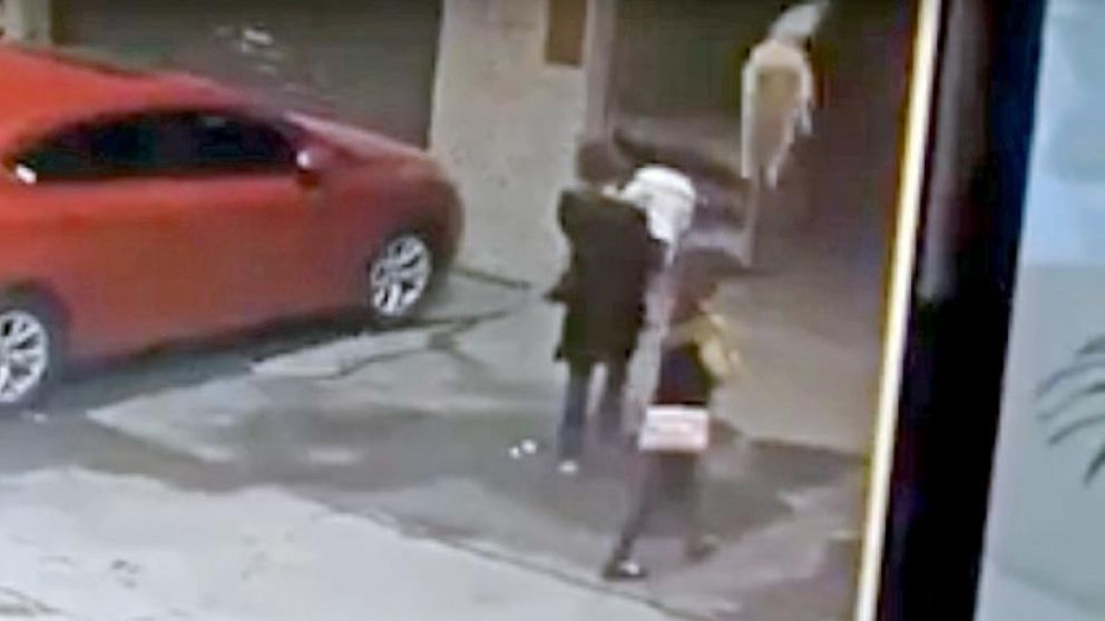 El momento en que cayó el perro del edificio.