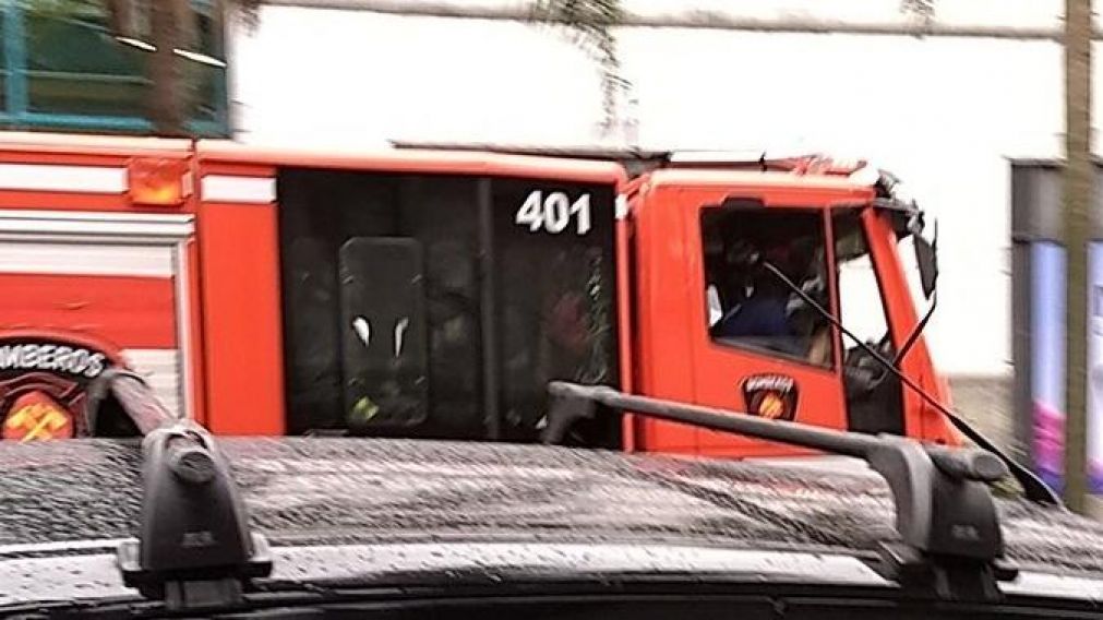 La formación arrolló a un oficial que perseguía a delincuente.