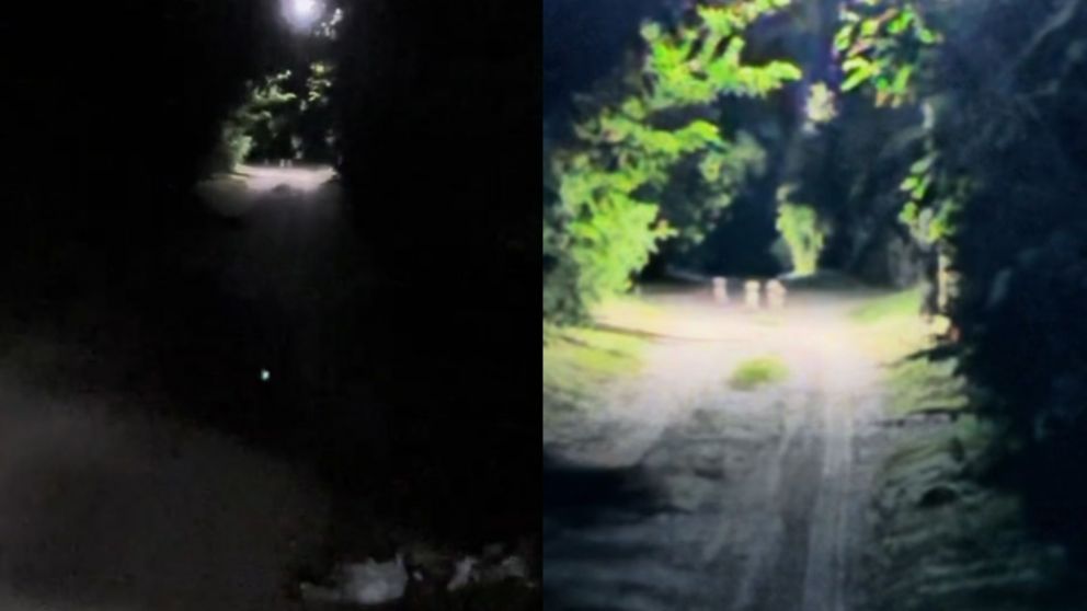 En plena noche cordobesa, un grupo de amigos se top� con la extra�a presencia de duendes y todo qued� filmado (Captura video).