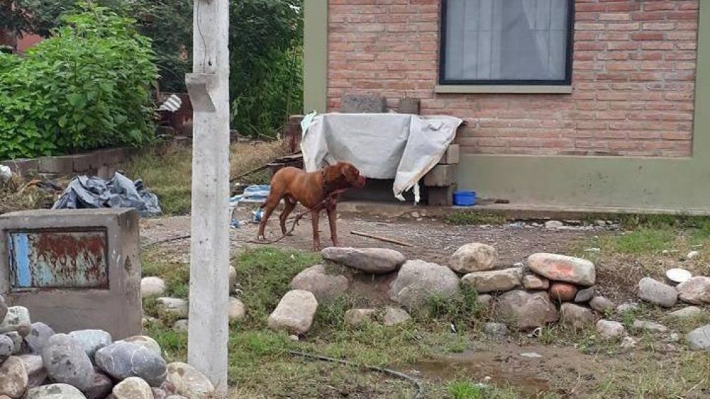 Una imagen del atacante.