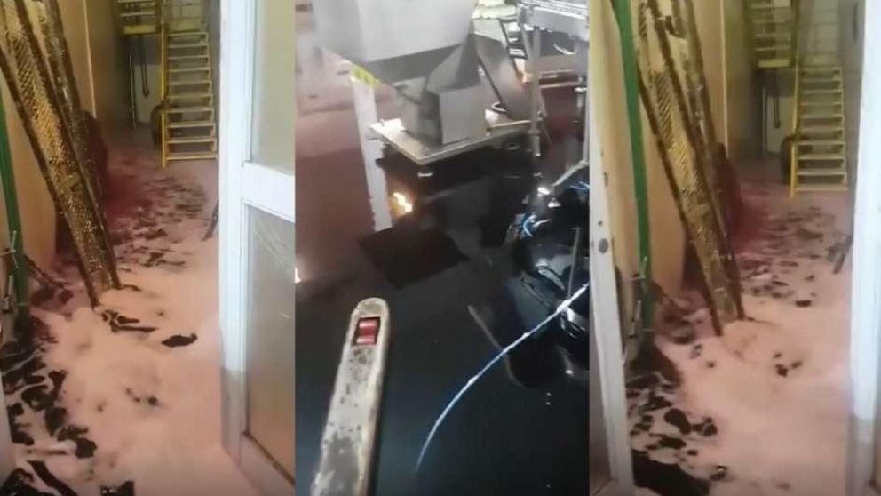 Dantesco derrame de 60 mil litros de vino en bodega de Mendoza